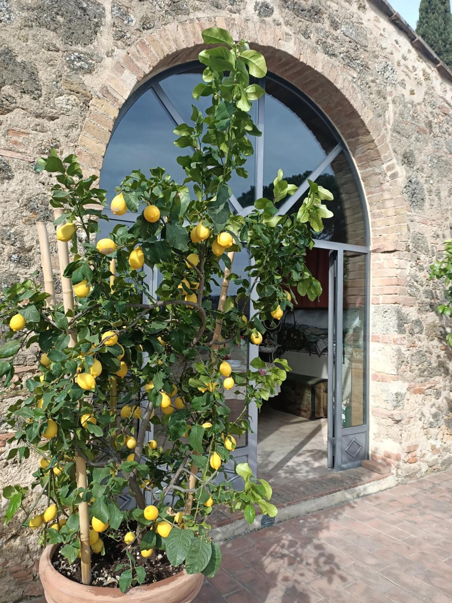 Relais Antico Borgo San Lorenzo Poggibonsi Εξωτερικό φωτογραφία